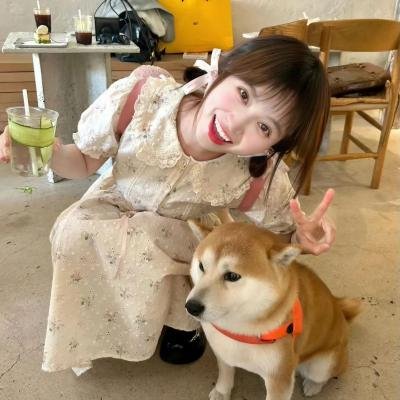 搞上大明星第三季