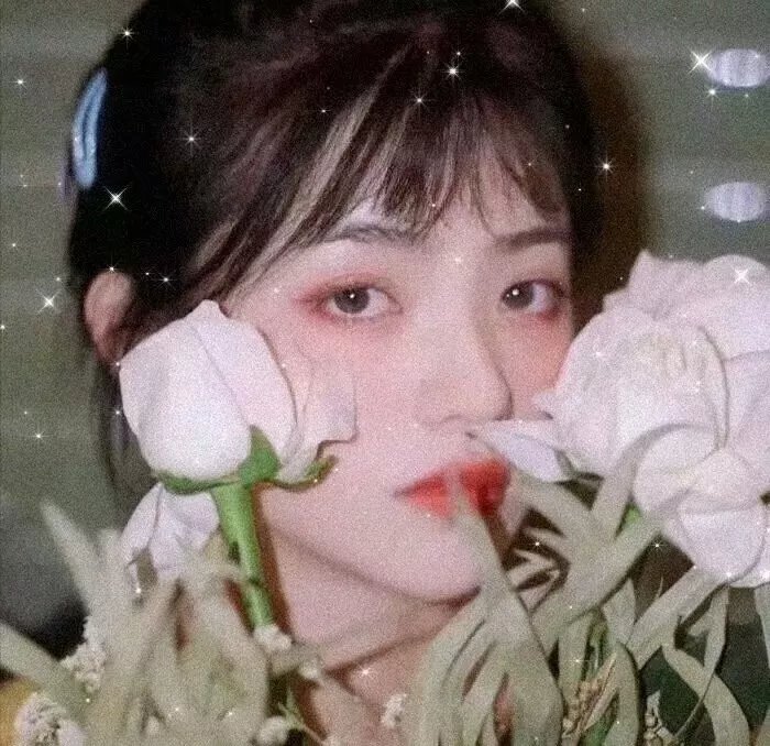 特雷弗·诺亚:但愿你可以