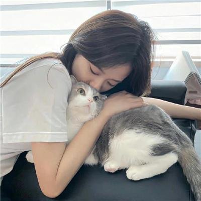 法证先锋
